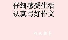 认真生活-感悟生活的作文800字