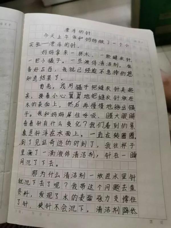 搞定作文-《漂浮的针》 1