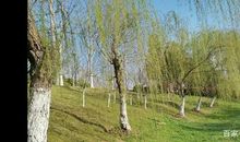 “色即是空”读后感