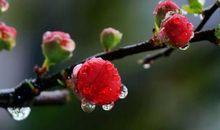 学生作文《请等一等慢下的灵魂》，写得很深刻！