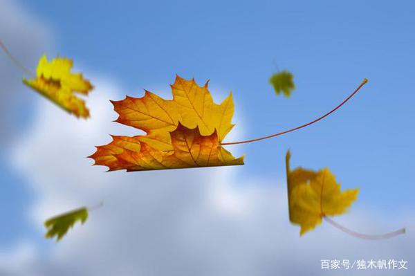 四年级作文:美丽的秋天