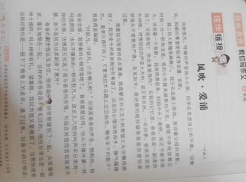 一件事 寒假叙事作文900字