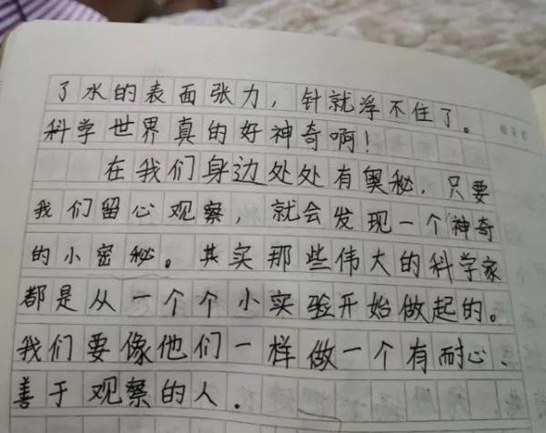 搞定作文-《漂浮的针》 2
