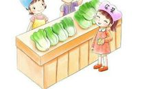 潍坊砺智小橘灯作文优秀学员作品推荐：买 菜