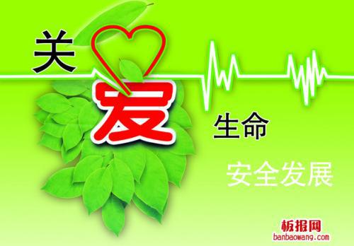 生命诚可贵，安全伴我行-珍爱生命的作文800字
