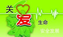 生命诚可贵，安全伴我行-珍爱生命的作文800字