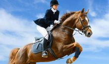 骑马 骑马的乐趣作文400字