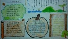 我赞美长江-优秀记叙文350字