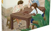 魏强儿童小说《云渡桃雕》读后感