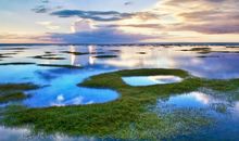 2020年高考作文指导必看文章：界定核心概念，让作文说理更透