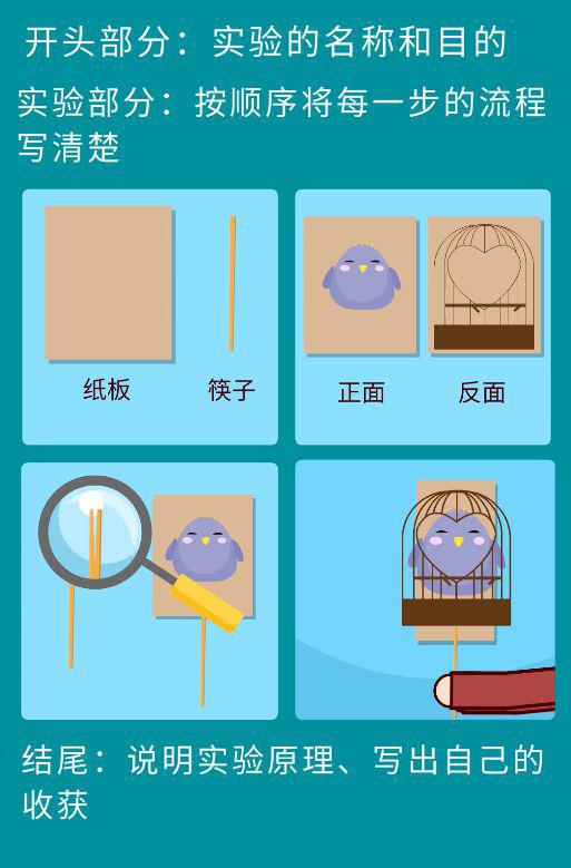 搞定作文-《漂浮的针》 5