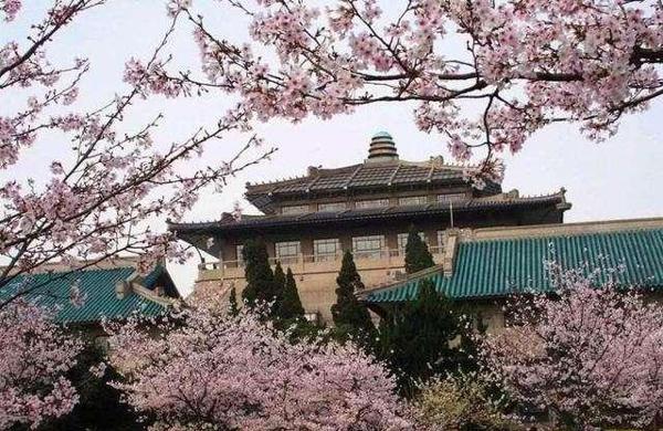 高中语文如何积累、学习?如何写好作文?武大学姐分享这个经验! 1