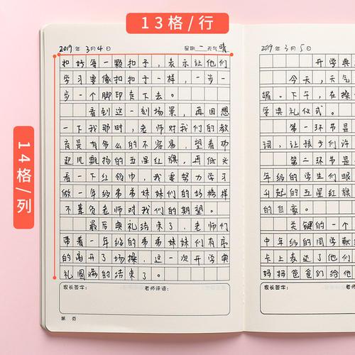 小学生日记8则