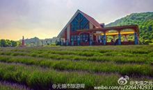 游无锡景区有感 无锡旅游作文400字