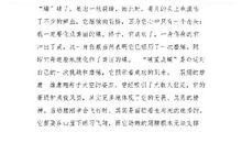 折翅的蜉蝣优秀作文