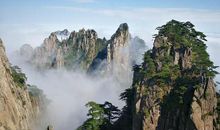 小学生作文：黄山的奇观