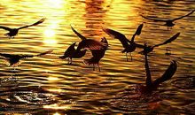 “语”书共享 | 读后感赏析（1）