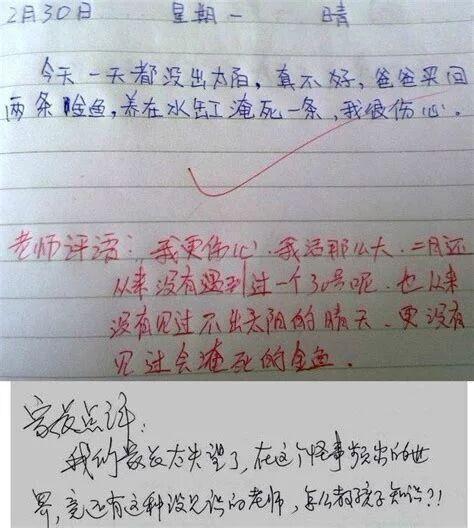 奇葩作文哪家强,老师吐血沙滩上,网友:笑死我对你有什么好处 4
