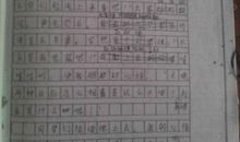 社会实践心得作文