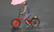 六年级作文习作：感恩父母