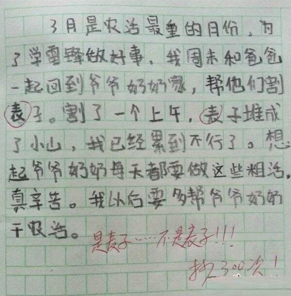 奇葩作文哪家强,老师吐血沙滩上,网友:笑死我对你有什么好处 2