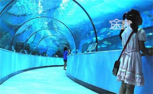 上海海洋馆 参观海洋馆作文500字