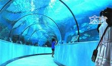 上海海洋馆 参观海洋馆作文500字