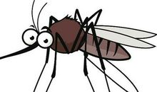 四年级上册第五单元《生活万花筒》怎么写？家长来看看！