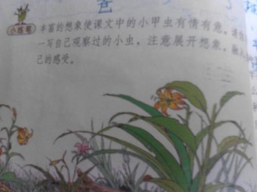 原创 优秀作文选登《蚂蚁的秘密》