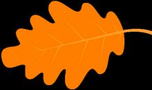 青苹果趣味作文秋季班优秀作文展示（一），有你家孩子的作文吗？