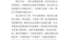 “圈”别让拥有把你束缚 初三作文900字