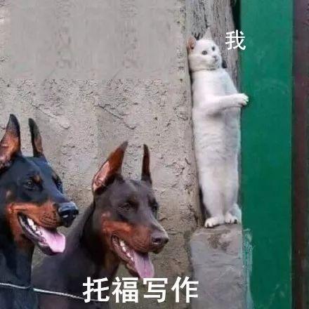 如何才能写出托福高分作文？ 1