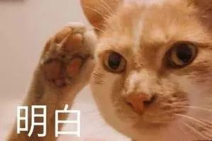 如何才能写出托福高分作文？ 2
