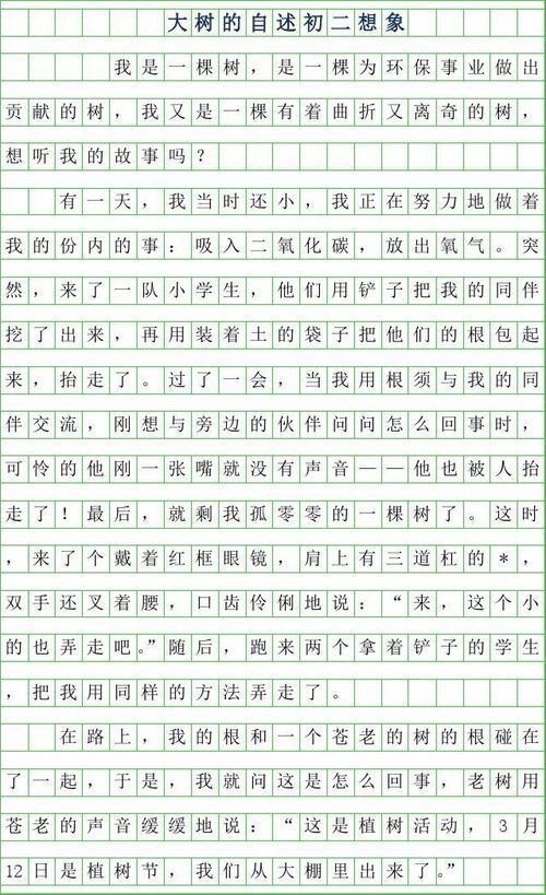 电脑的自述 想象的作文450字