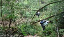 双髻山 家乡的风景作文300字