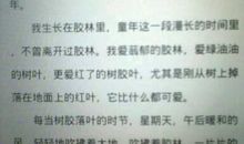 童年的旱冰鞋 童年的溜冰经历500字作文