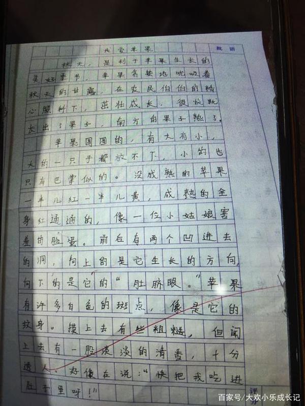 小学三年级作文.我爱苹果 1