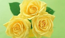 初一作文：友谊是首歌