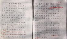 我很勇敢 三年级叙事作文300字
