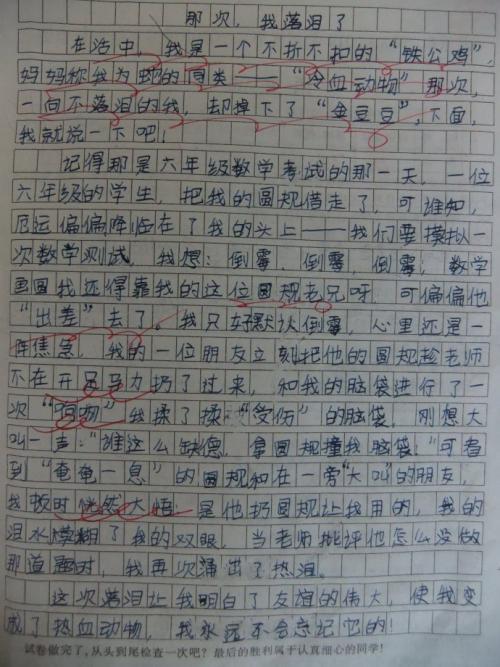 做一项小实验-小学写事作文500字