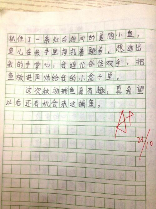 游极地海洋世界 难忘的秋游600字作文