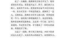 玩中惹祸叙事作文