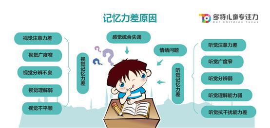 怎样提高记忆力 初中生议论文600字