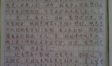 忙碌的世博 难忘的世博会作文800字