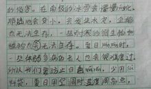 我与星星相遇 初一优秀作文500字