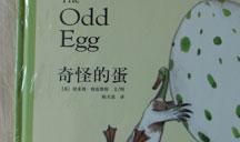 奇怪的蛋 我的观察发现作文300字