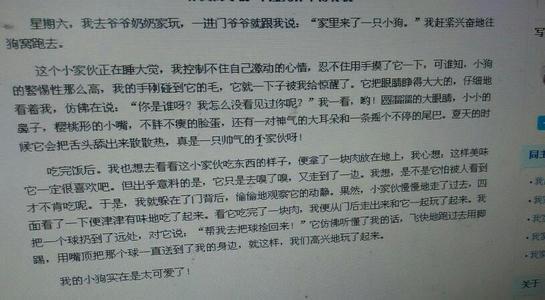 可爱的小狗 我家的小狗作文300字