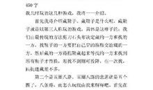 永不放弃 我最爱的一款游戏作文500字