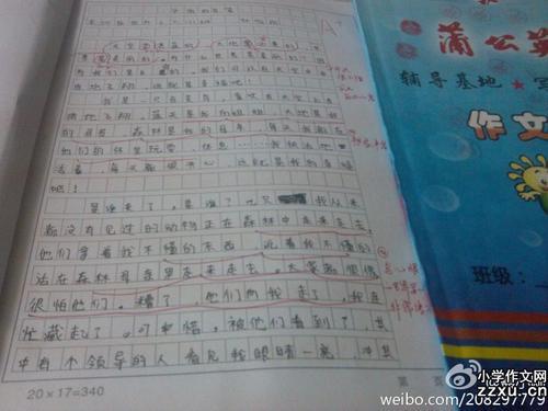 特别的生日 三年级过生日作文300字