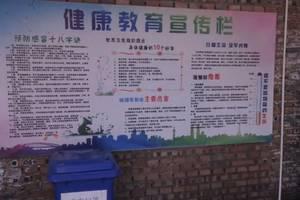 待到疫除日，携手迎春来-抗疫情作文1200字